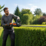 Jardinier taillant une haie